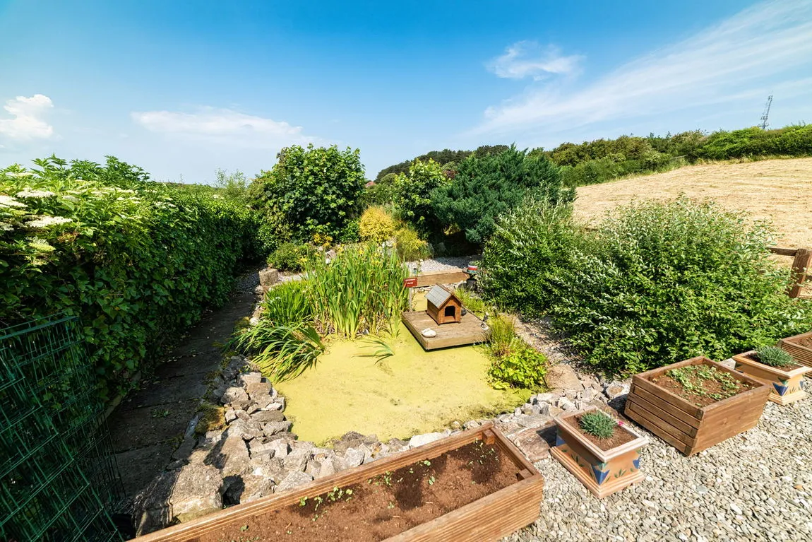 Ffordd Teilia, Gwaenysgor, Flintshire, LL18 6EQ, photo 23