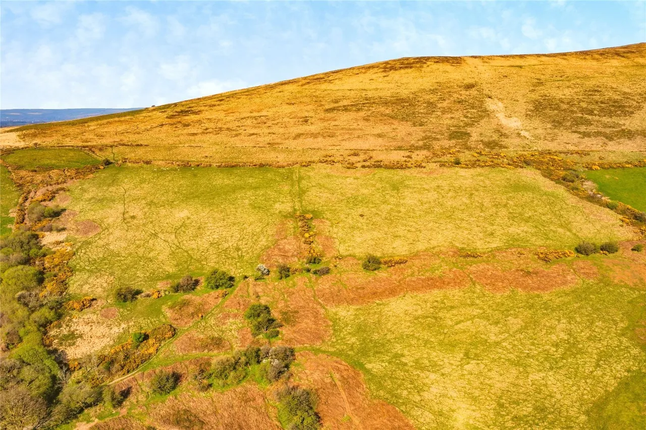 Crymych, SA41, photo 15