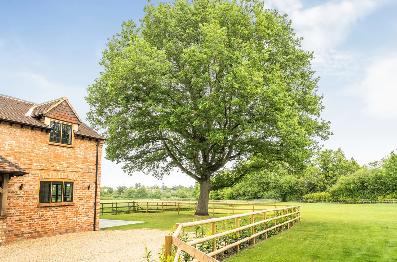 Blagrove Lane, Wokingham, Berkshire, RG41 4AX, photo 14
