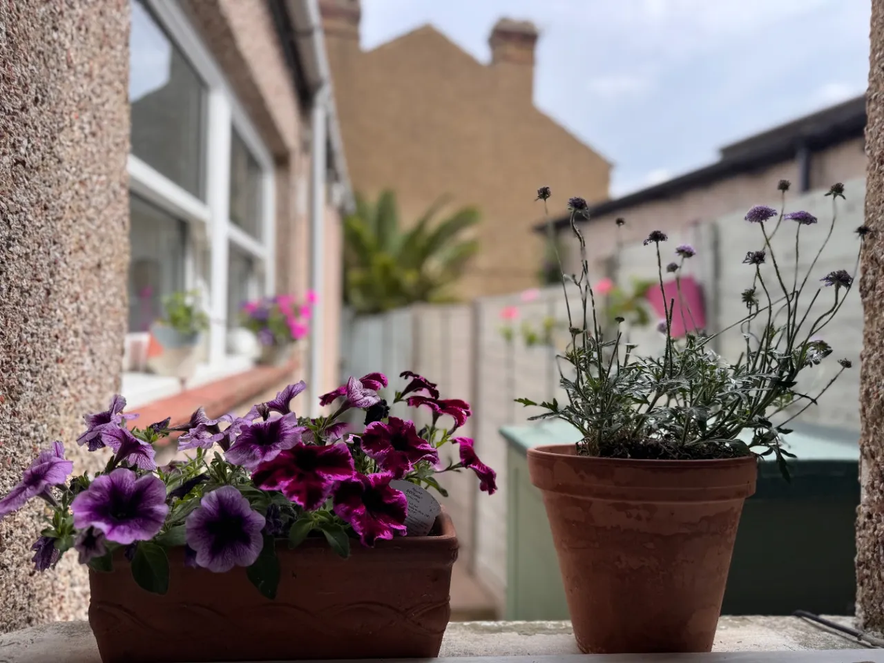 Alabama Street, Plumstead, London, SE18 2SL, photo 15