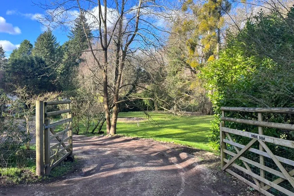 Upper Bourne Lane, Wrecclesham, Farnham, Surrey, GU10 4RG, photo 3