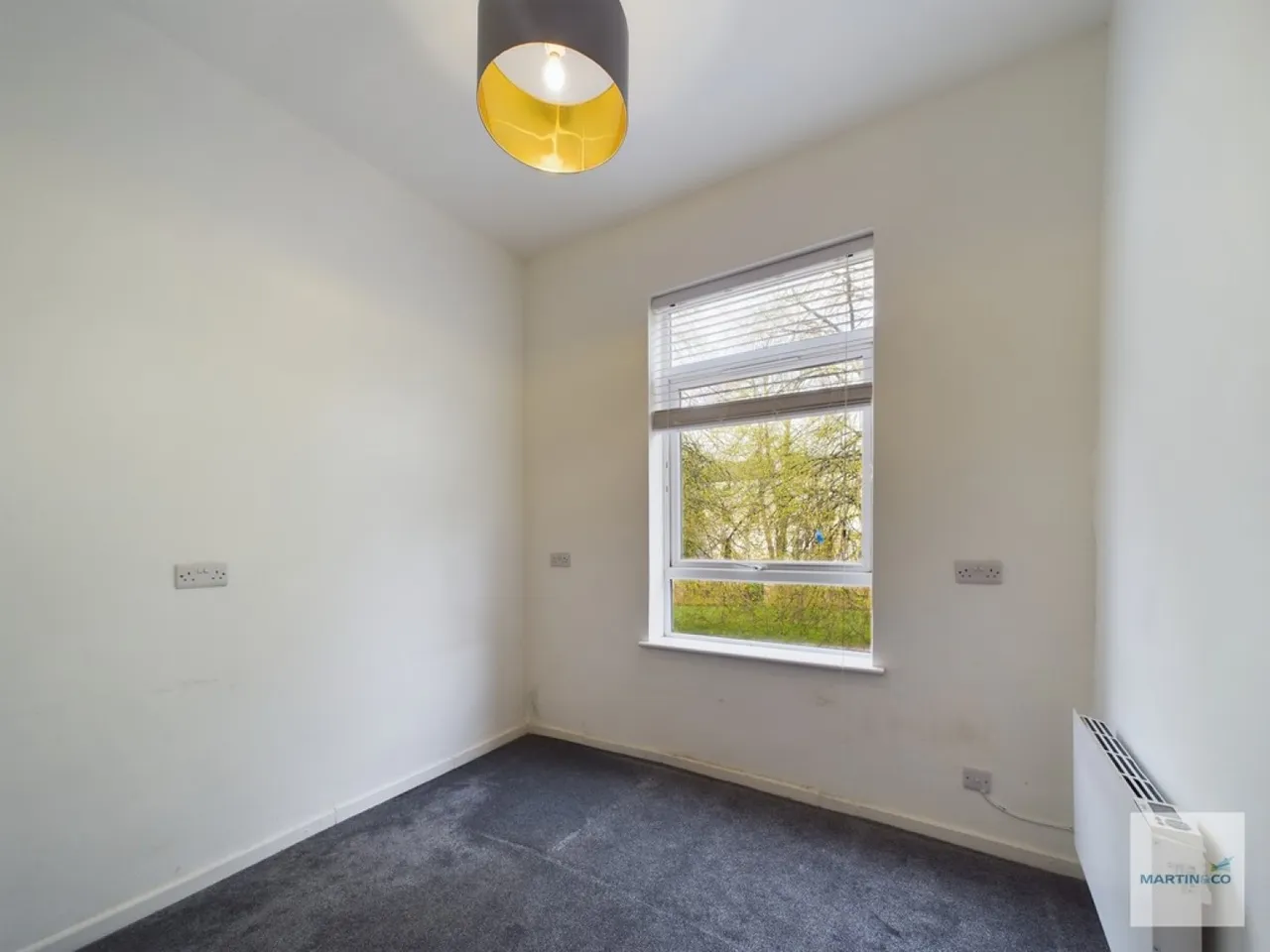 Elm Avenue, Mapperley, NG3, photo 4
