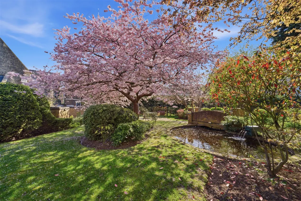 West Park Road, Southall, photo 14