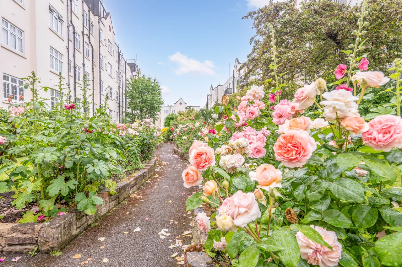 37 Clifton Court, Northwick Terrace, London, photo 12