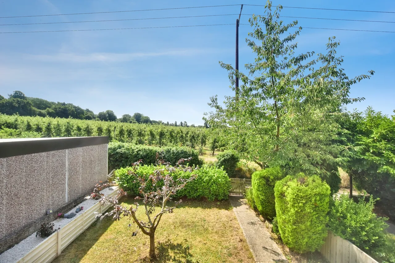 Pear Tree Walk, Sittingbourne, ME9, photo 20