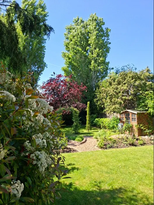 Hillside Road, Northwood, HA6, photo 19