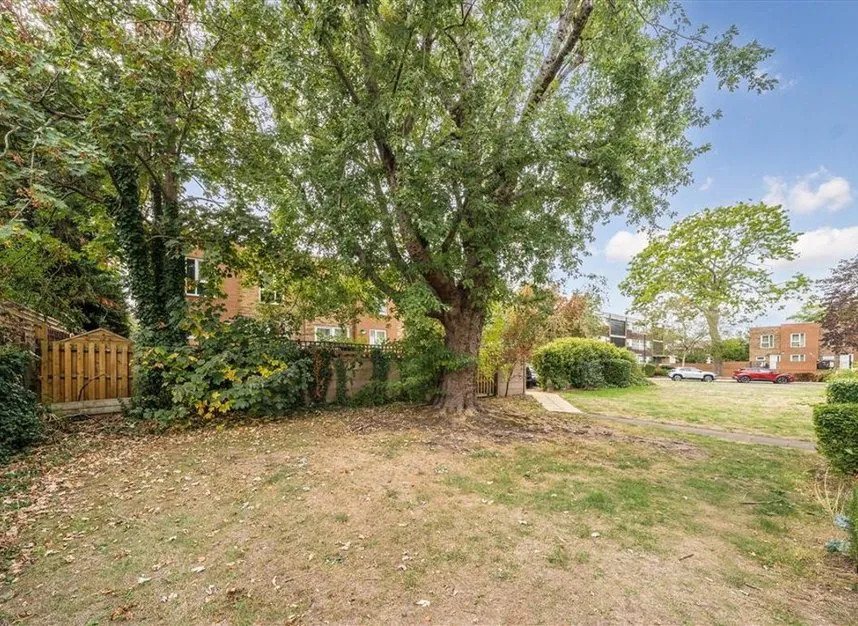 Bucklands Road, Teddington, TW11, photo 5