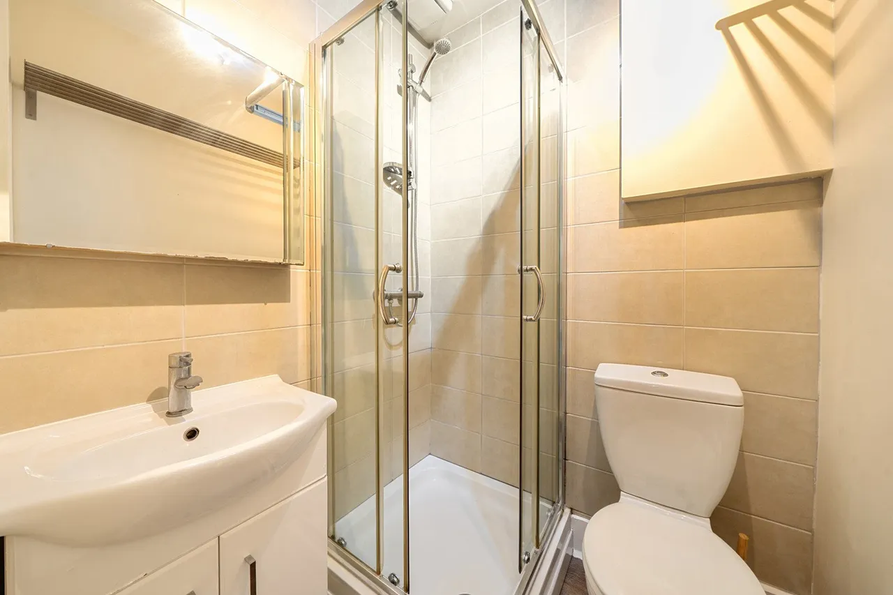 Mayow Road, SE26, photo 8