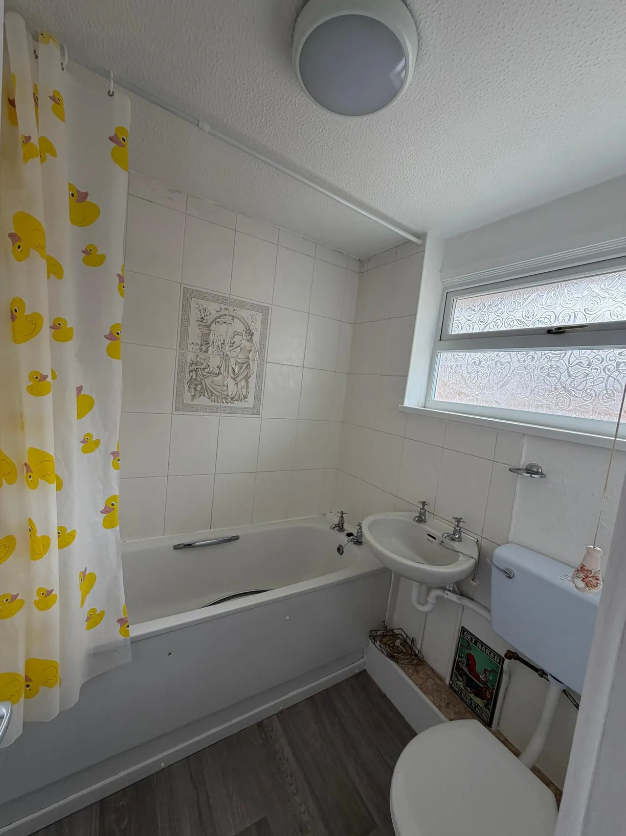 Byng Walk, Andover, SP10, photo 13