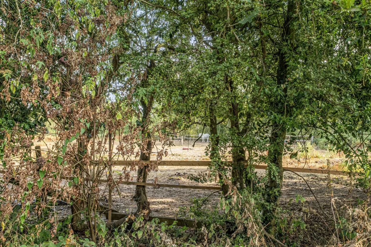 Meer Stones Road, Balsall Common, CV7, photo 16