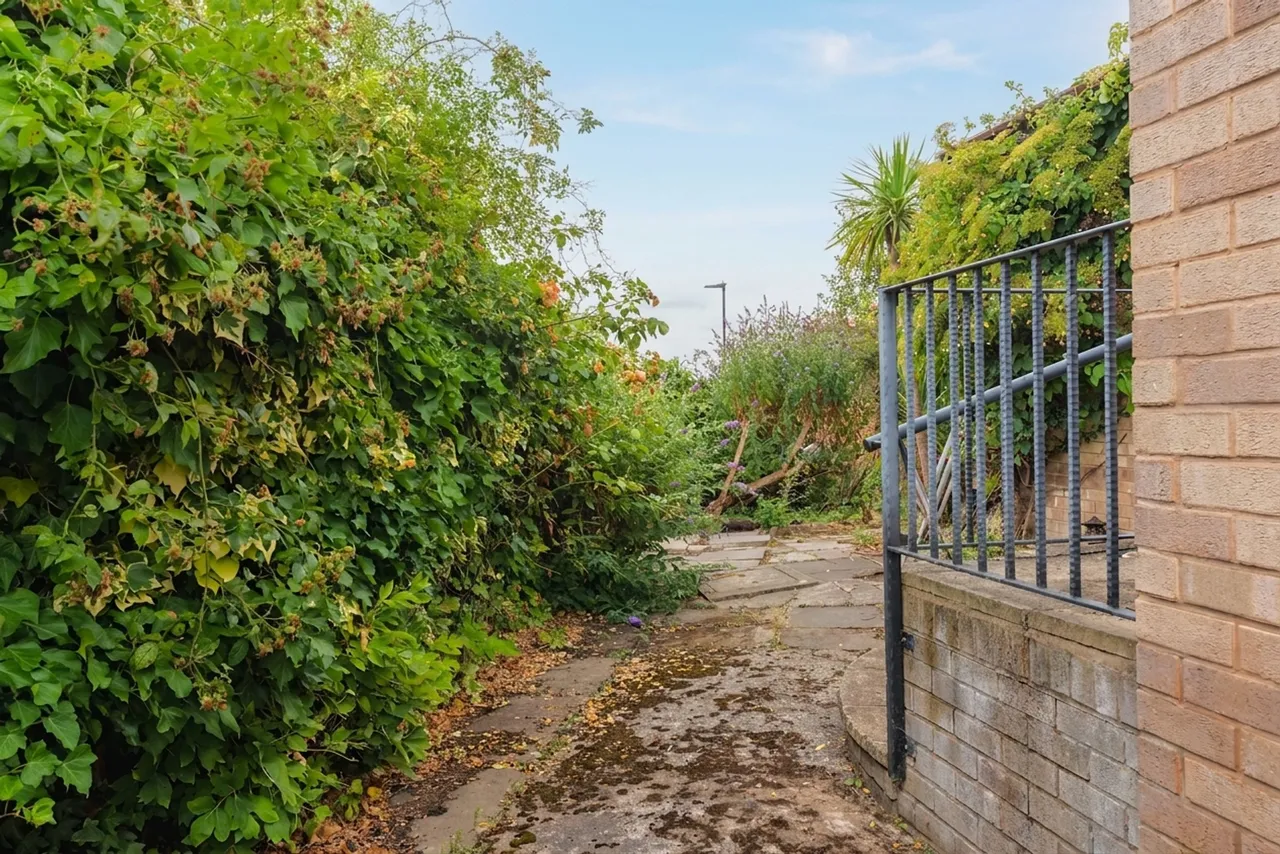 Rylstone Grove, Sheffield, S12, photo 30