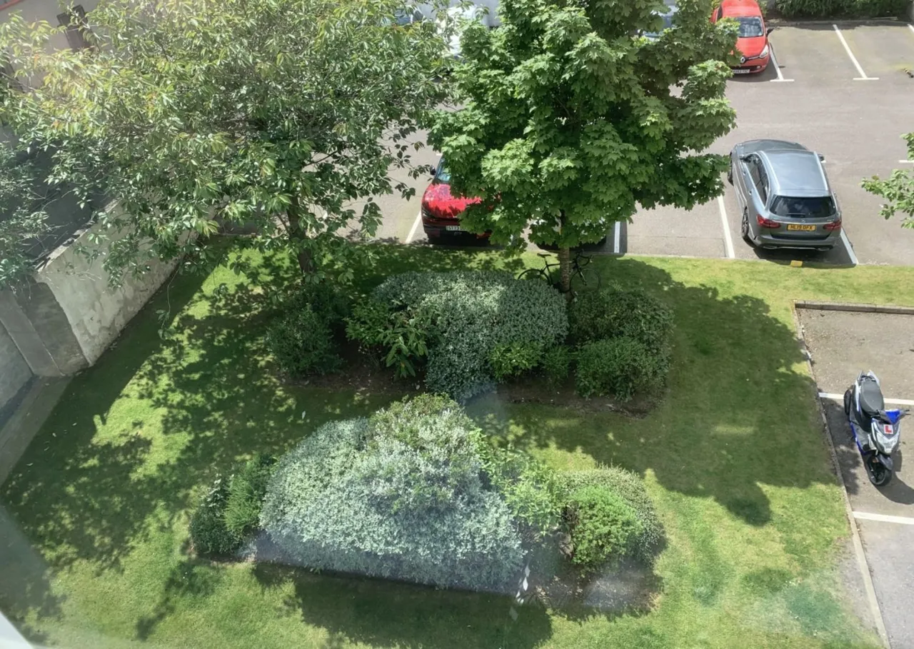 Charles Street, Aberdeen, AB25, photo 7