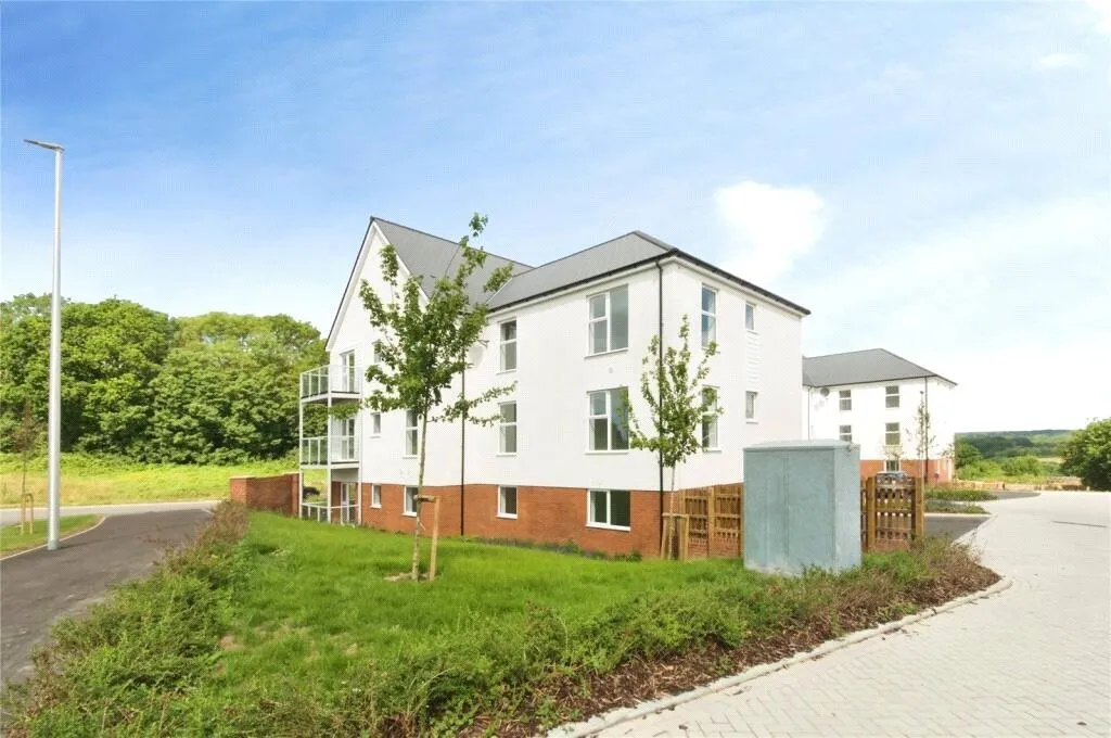 Osprey Drive, Bexhill-on-Sea, TN40, photo 7
