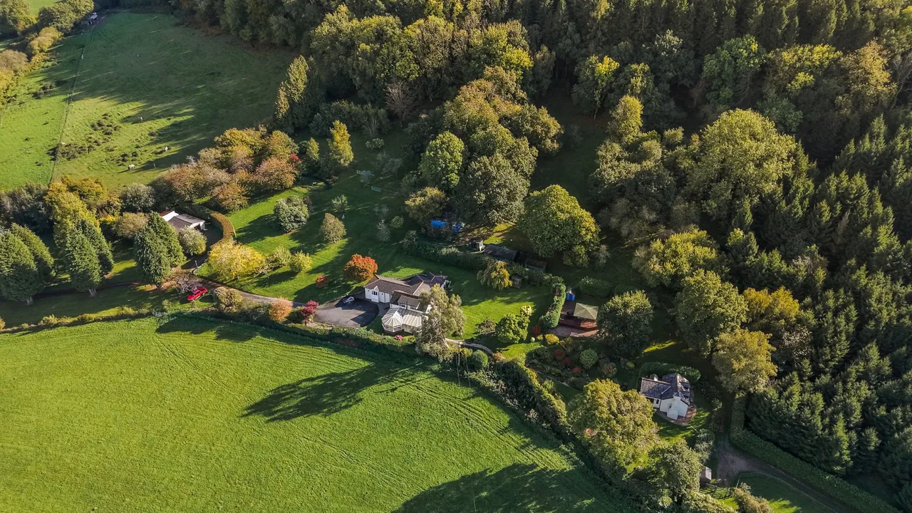 Coedypaen, Pontypool, NP4, photo 23