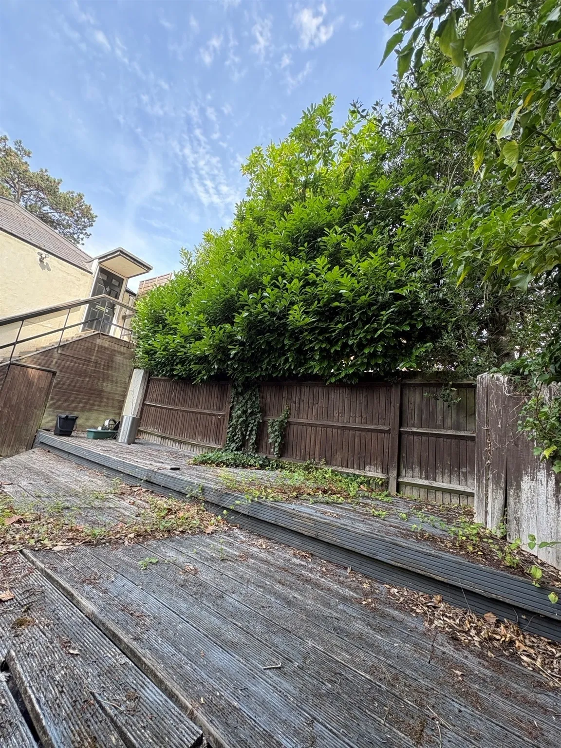 Lynton Green, Maidenhead, SL6, photo 8