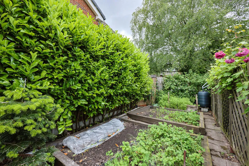 Havenwood Road, Whitley, photo 38