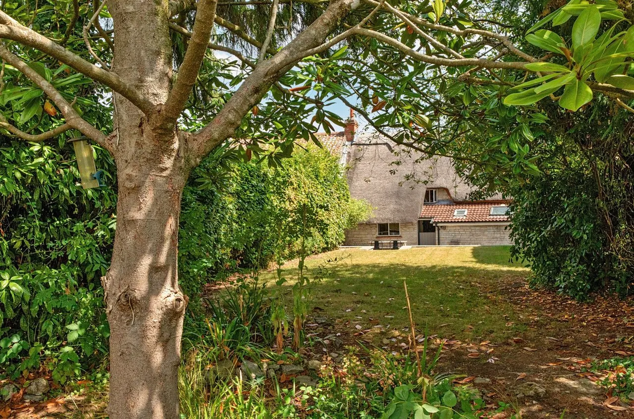 High Street, Butleigh, BA6, photo 13