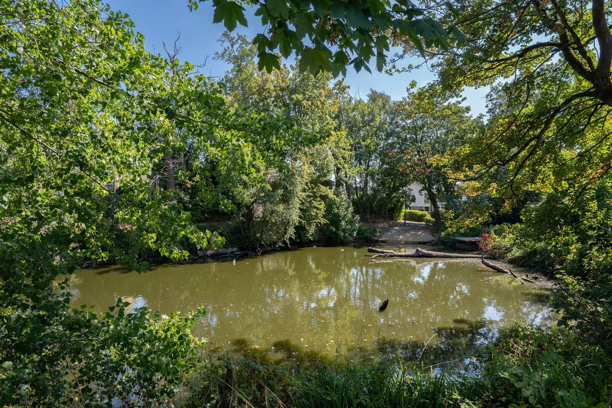 Horsham, RH13, photo 26