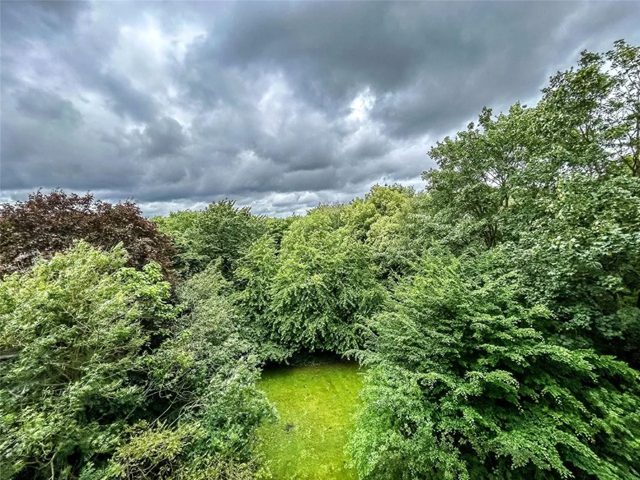 Hornsey Lane, London, N6, photo 7