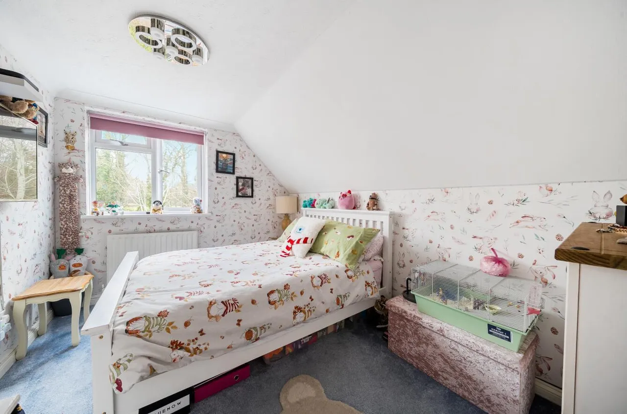 Exception Home & Detached Annex, Addington, photo 18