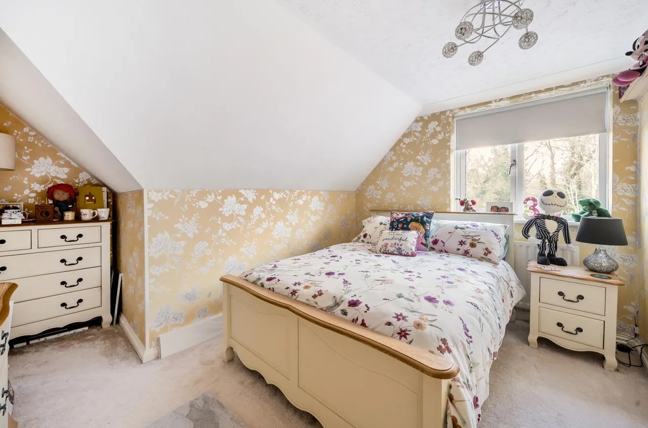 Exception Home & Detached Annex, Addington, photo 17