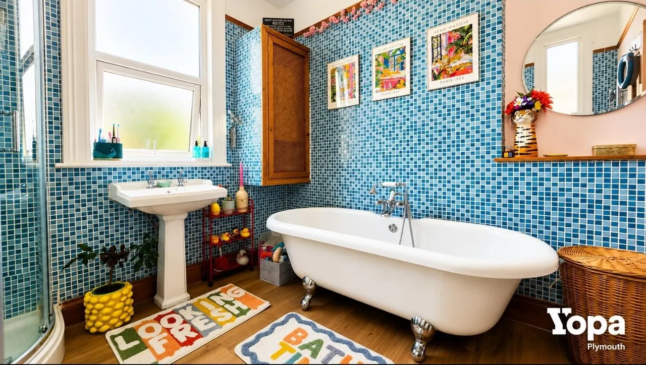 Old Park Road, Plymouth, PL3, photo 16