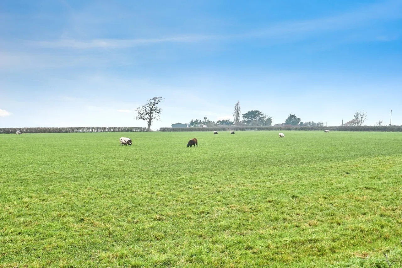 Horsebridge Hill, Newport, PO30, photo 2