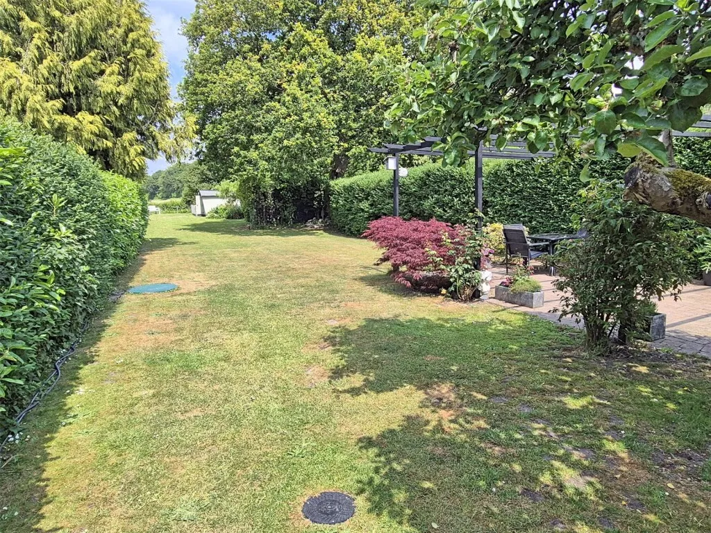 Bransgore, Christchurch, photo 19