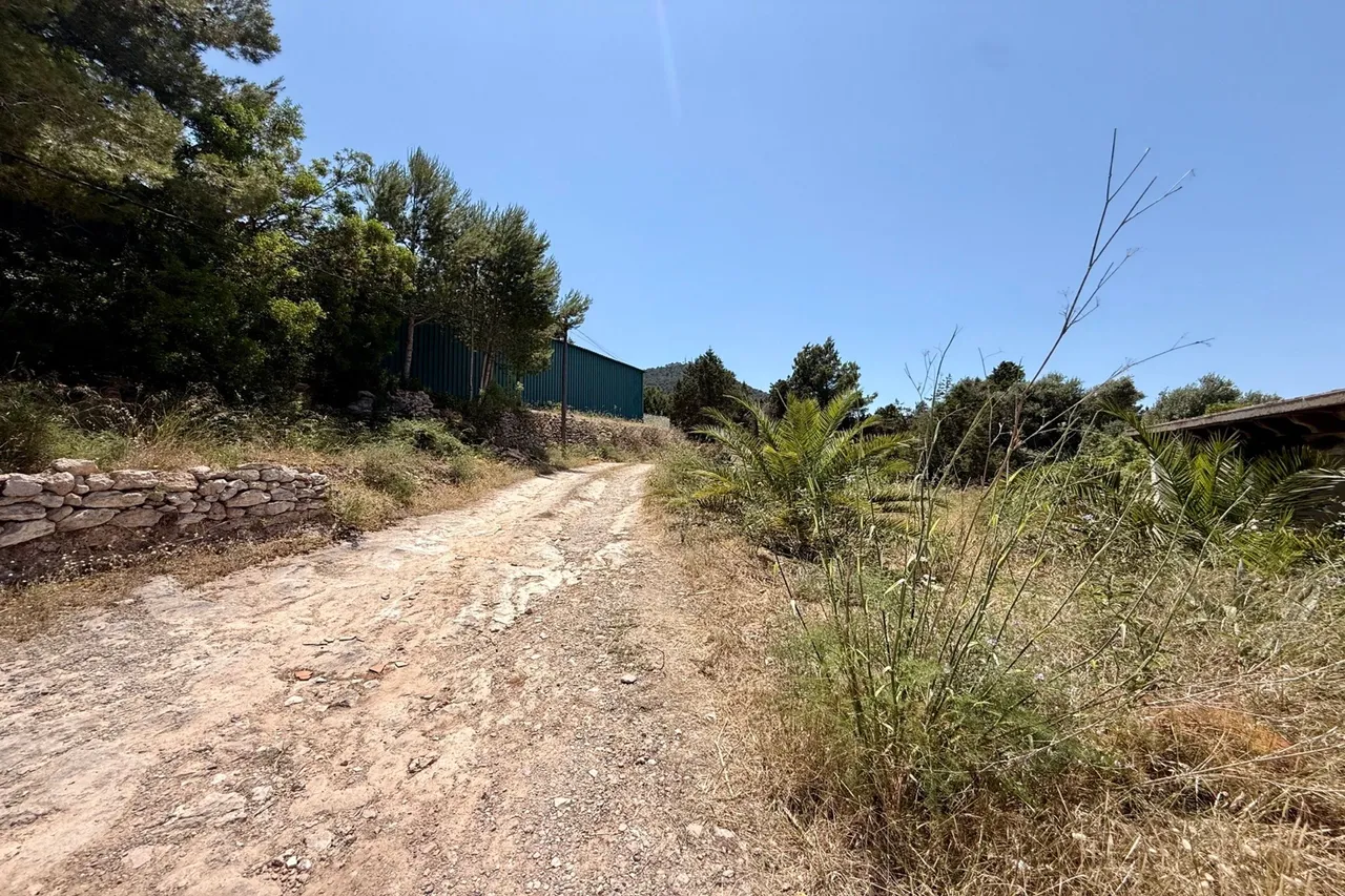 San Jose, Ibiza, photo 23