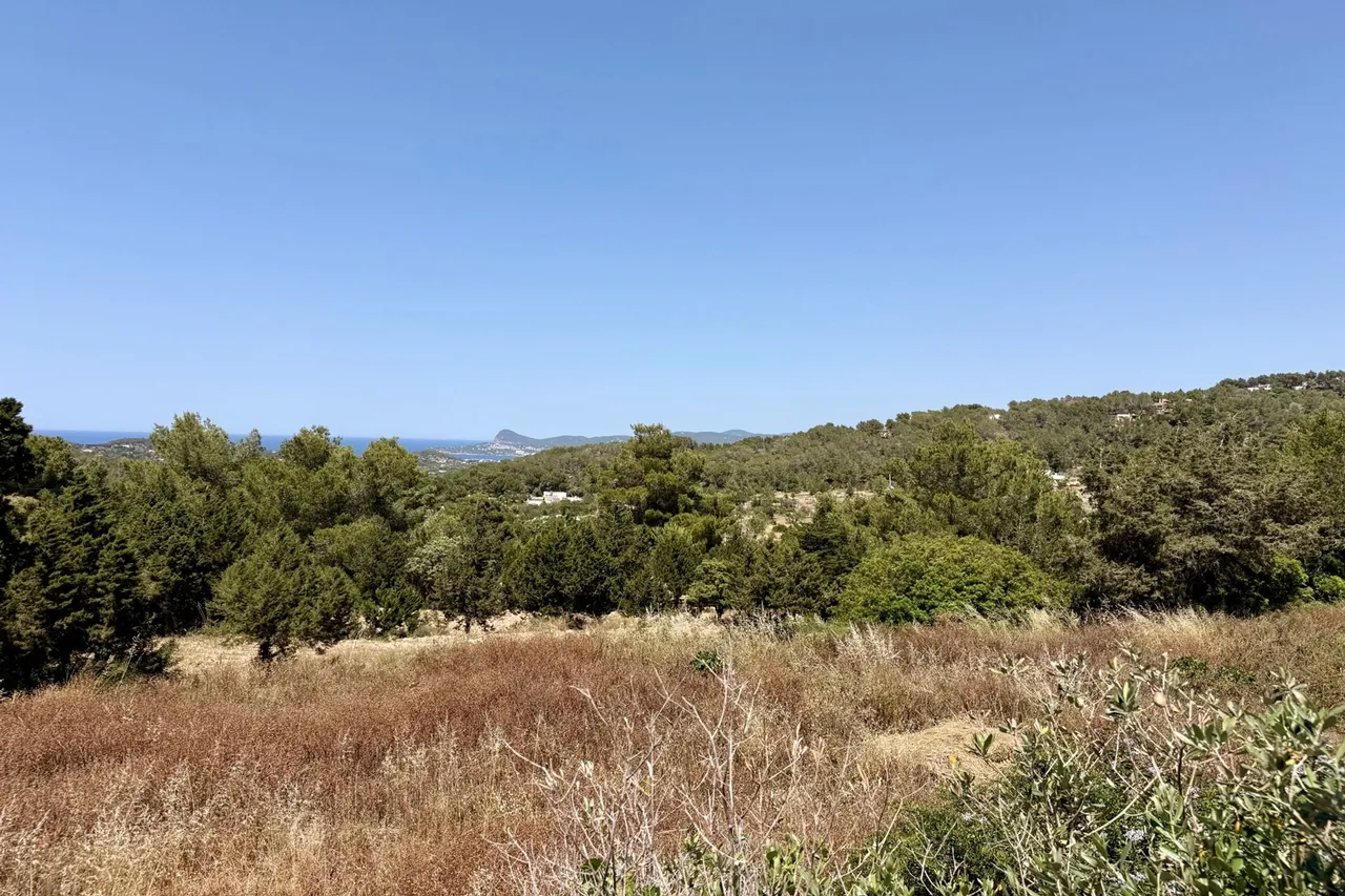San Jose, Ibiza, photo 21