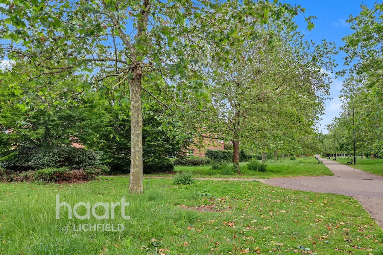 Thacker Drive, Lichfield, WS13, photo 21