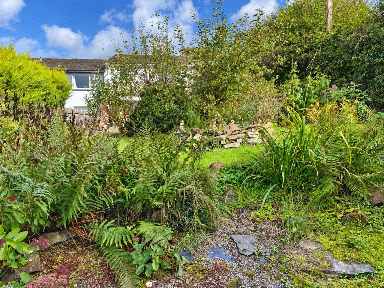 Roydon Lane, Lanstephan, PL15, photo 9