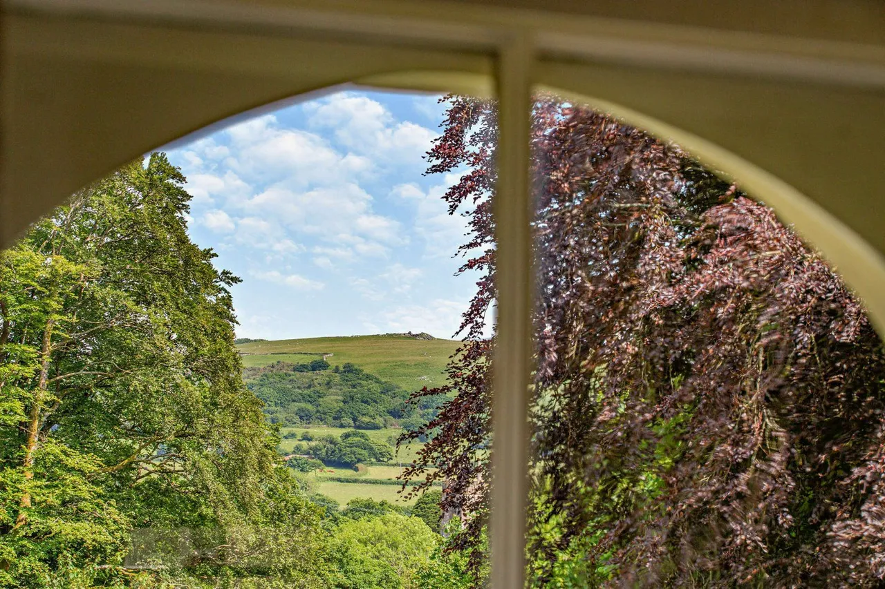 Mary Tavy, Tavistock, Devon, PL19 9PP, photo 4