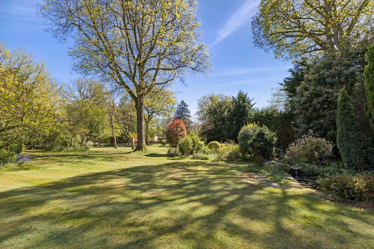 Norney, Shackleford, GU8, photo 6