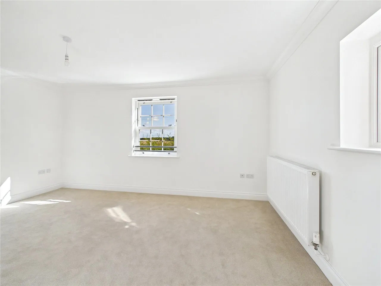 Ethelwold Drive, Wickham Market, IP13, photo 14