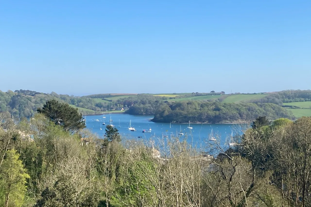 Spinnaker Drive, St Mawes, TR2, photo 29