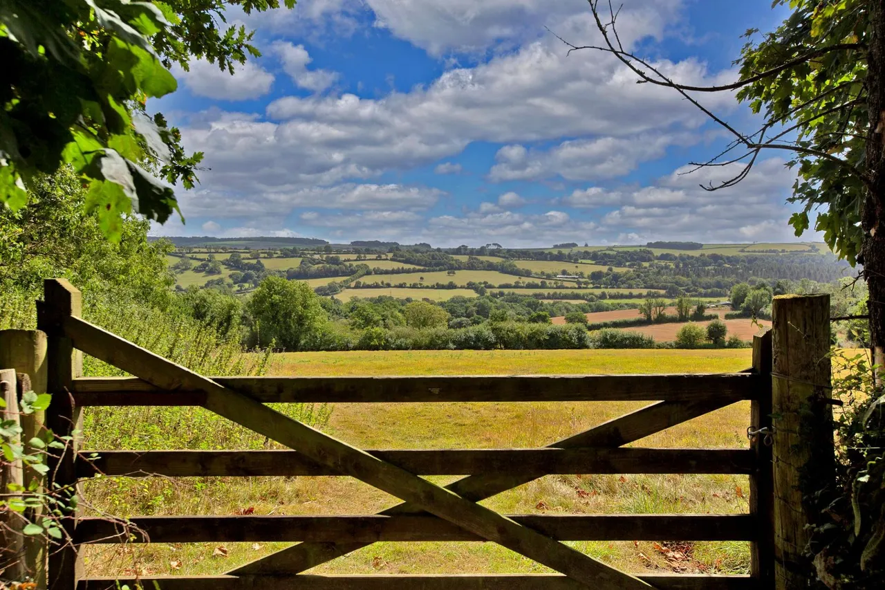 Kelly, Lifton, PL16, photo 30