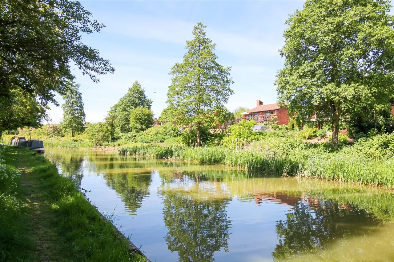 Sakura Walk, Willen Park, photo 23
