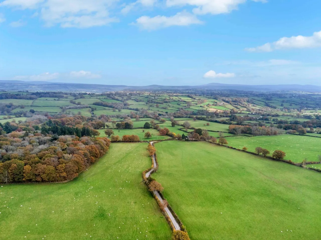 New Barns Farm, Michaelchurch Escley, Hereford, Herefordshire, HR2 0PT, photo 4