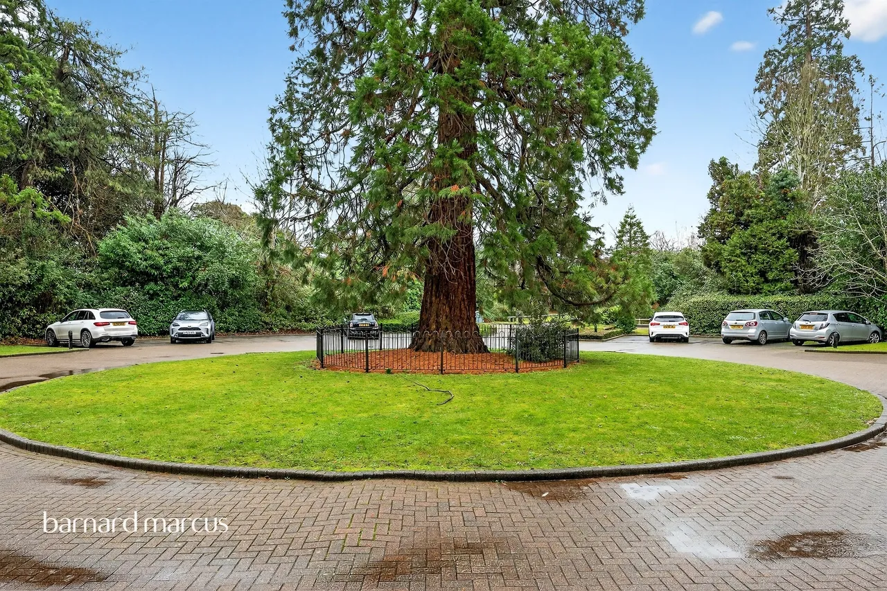 Grove Close, Epsom, photo 11