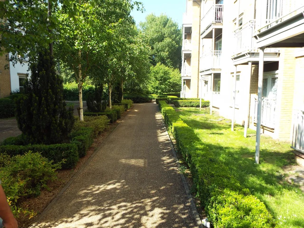 Bingley Court, Canterbury, CT1, photo 10