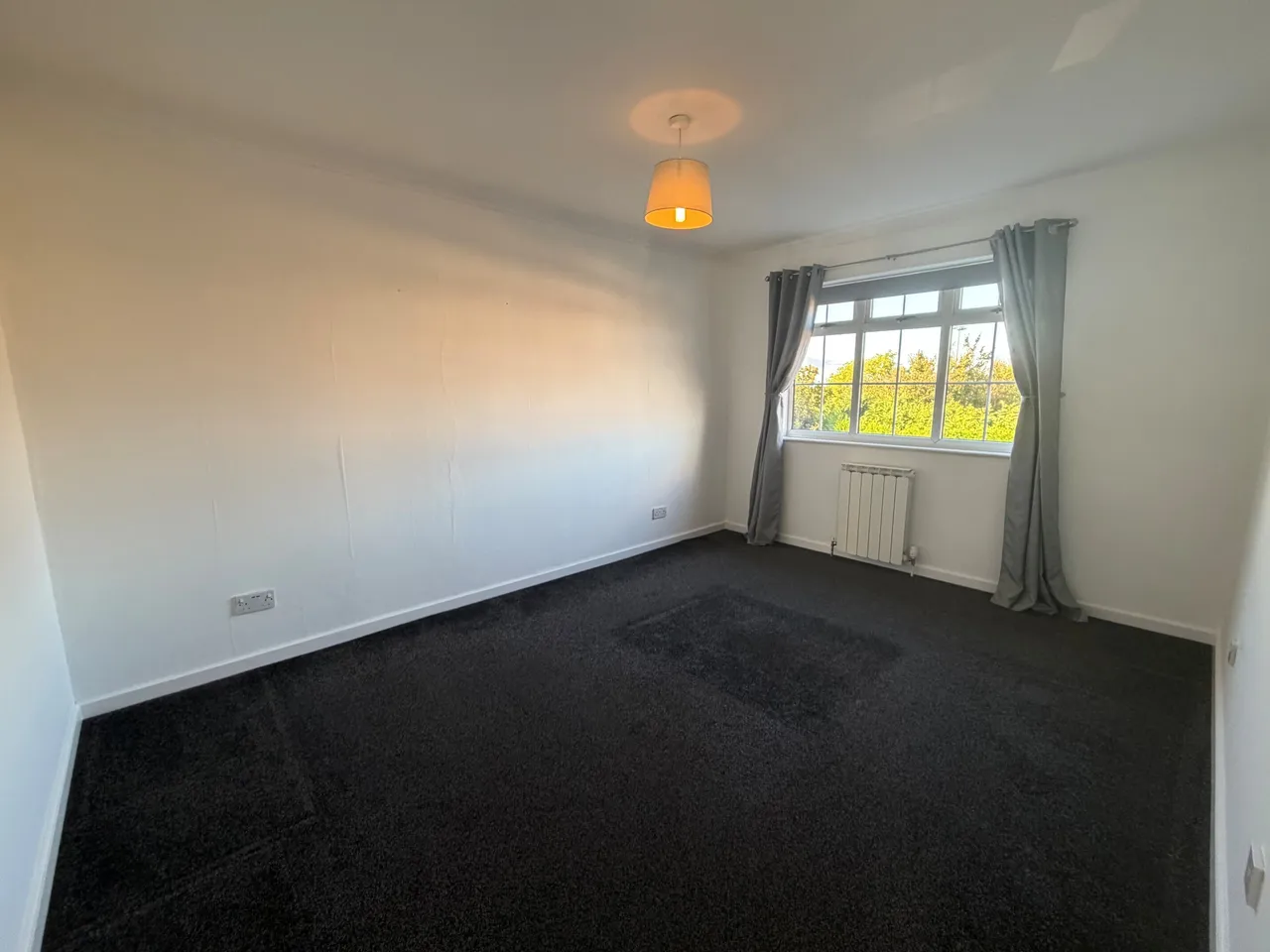 Greenheart, Tamworth, B77, photo 10