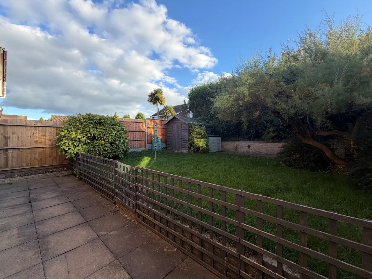Greenheart, Tamworth, B77, photo 14