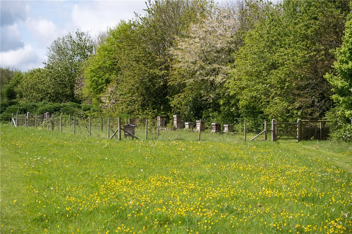 North Wraxall, Chippenham, SN14, photo 13