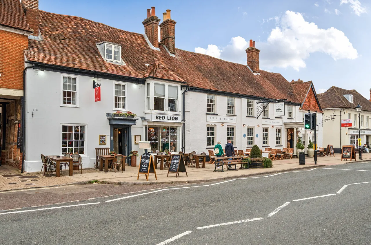 Palace Gate, Odiham, Hook, RG29 1JZ, photo 10