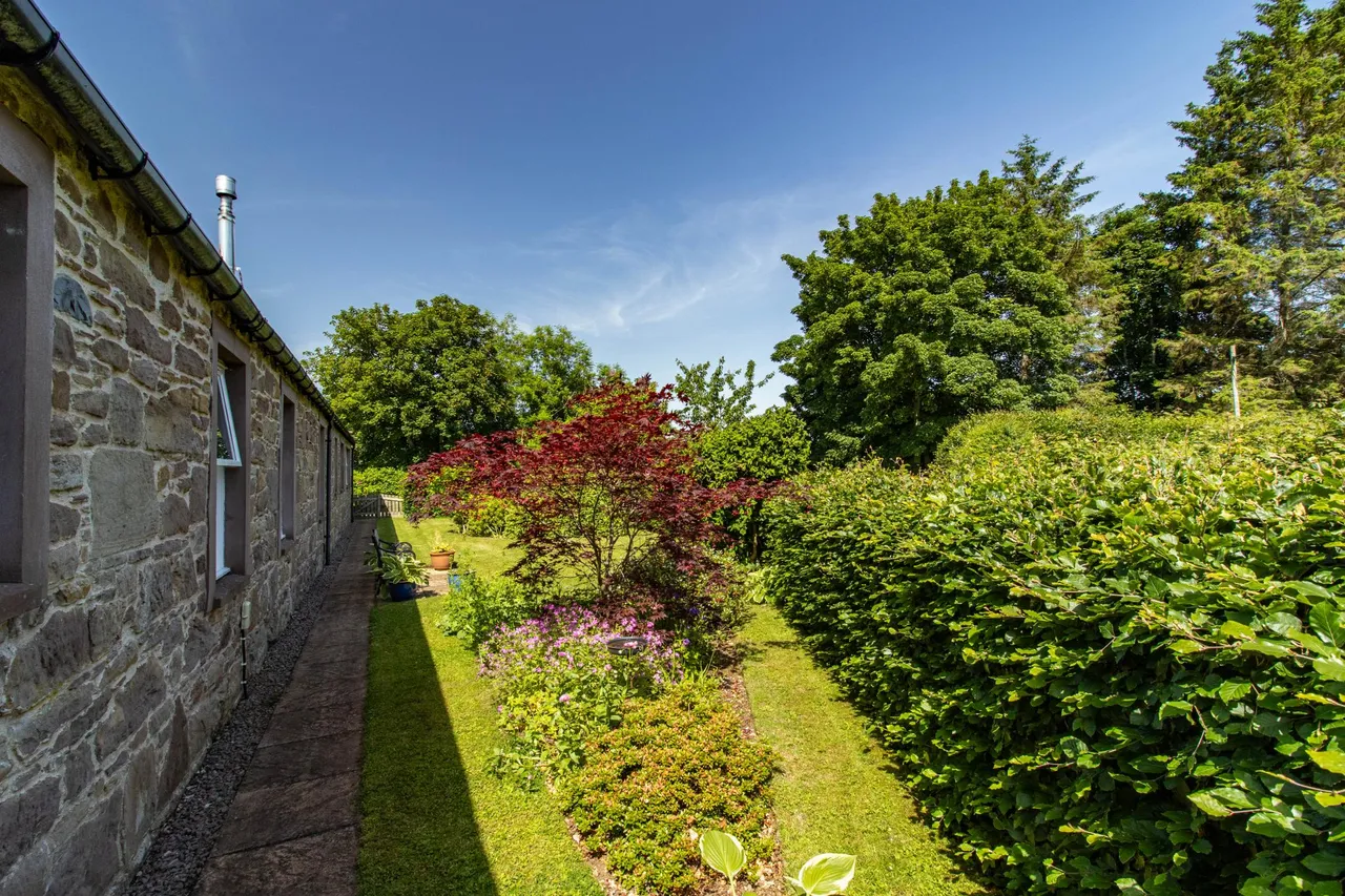 North Craigo, Montrose, DD10, photo 38