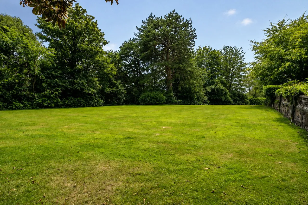 New Heys Drive, Liverpool, L18, photo 23