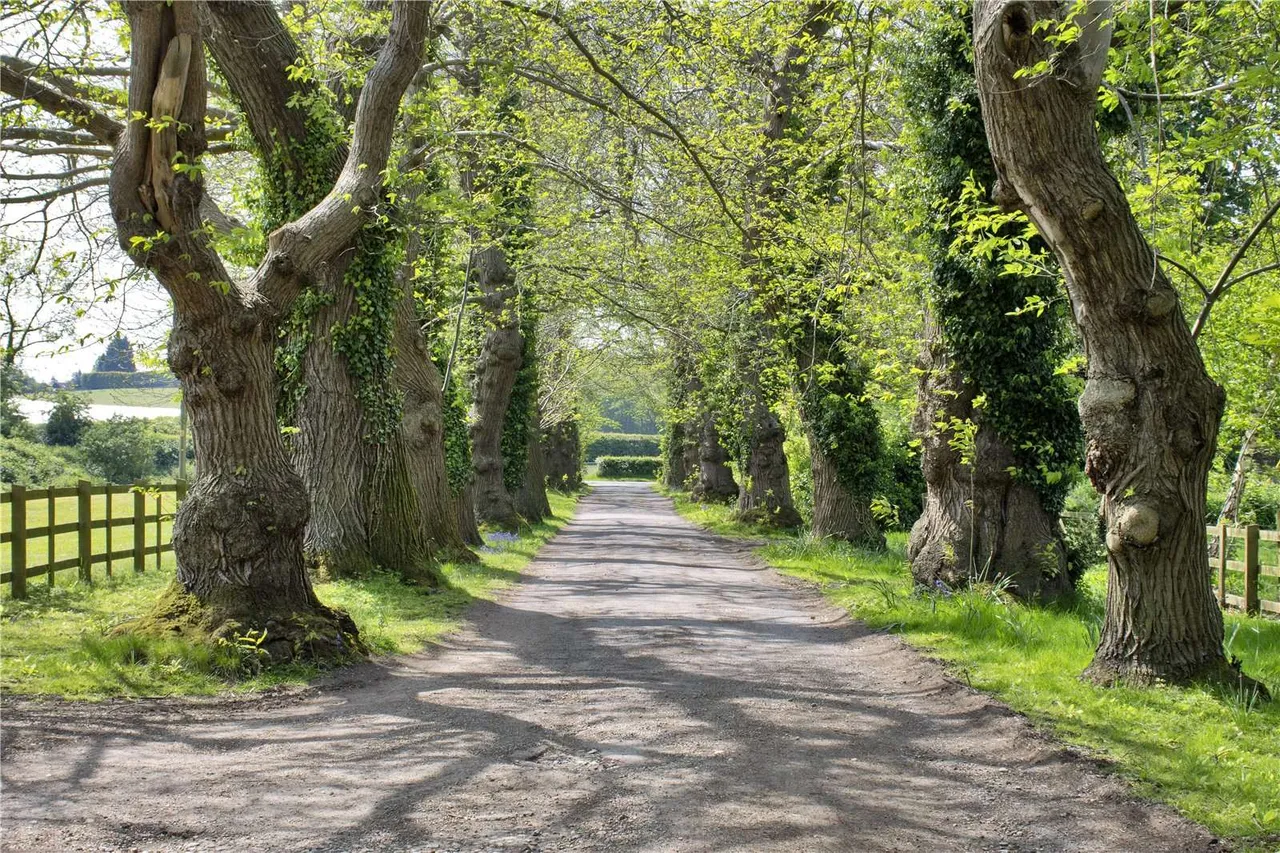 Teston Road, Offham, ME19, photo 9