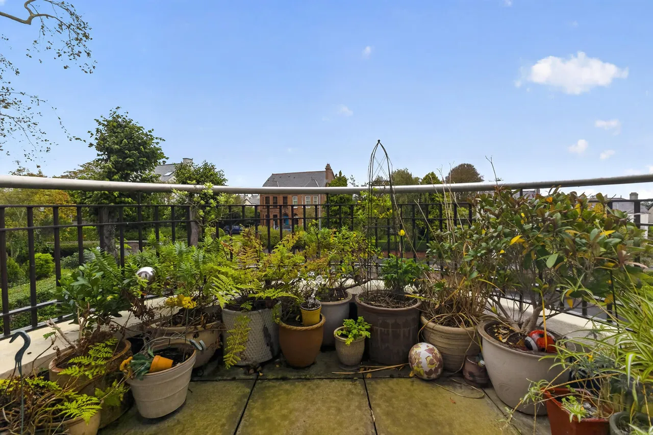 ballyholme road, bangor, BT20, photo 18