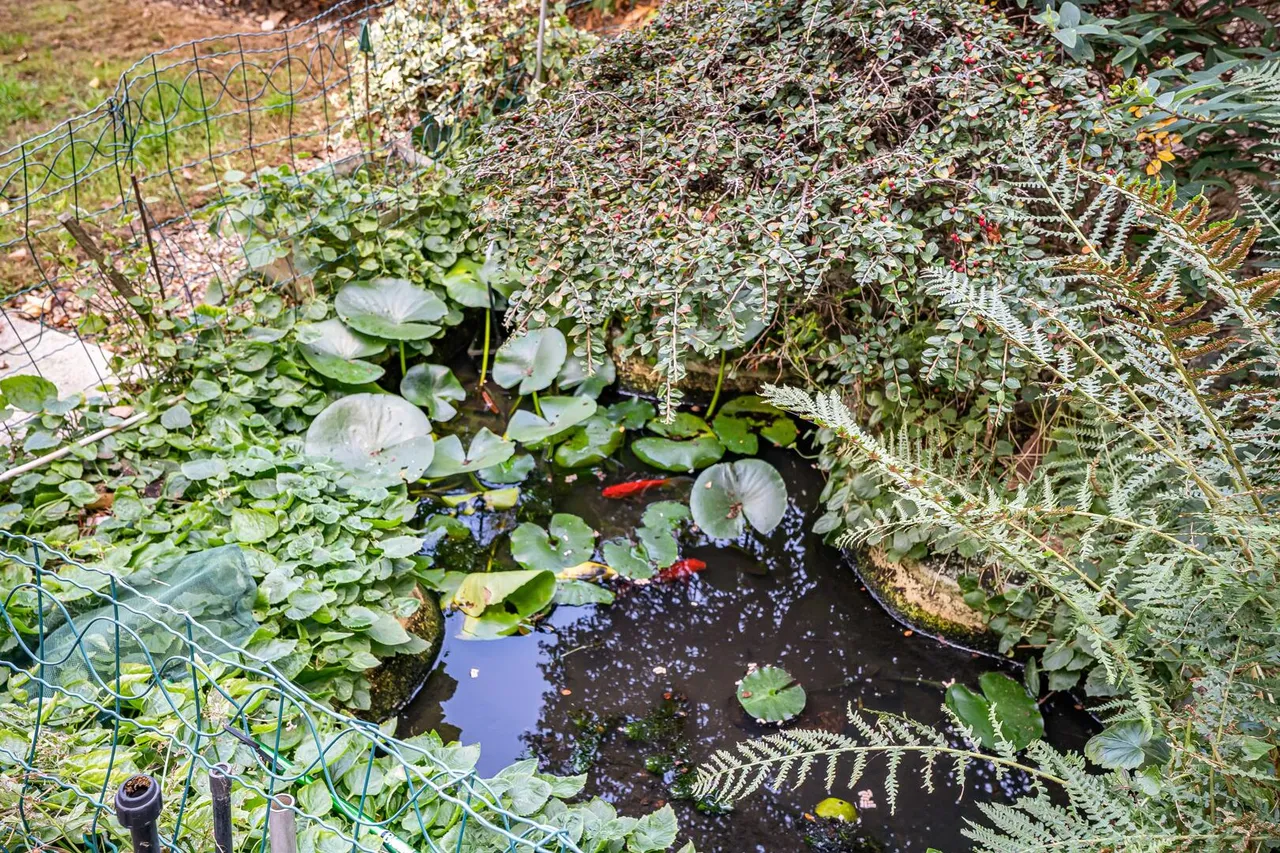 Dendridge Close, Enfield, EN1, photo 19